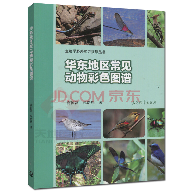 现货 华东地区常见动物彩色图谱 高国富 包浩然 生物学野外实习指导