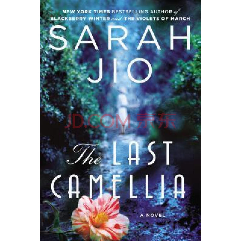 英文原版书 literature & fiction(文学与虚构类) the last camellia