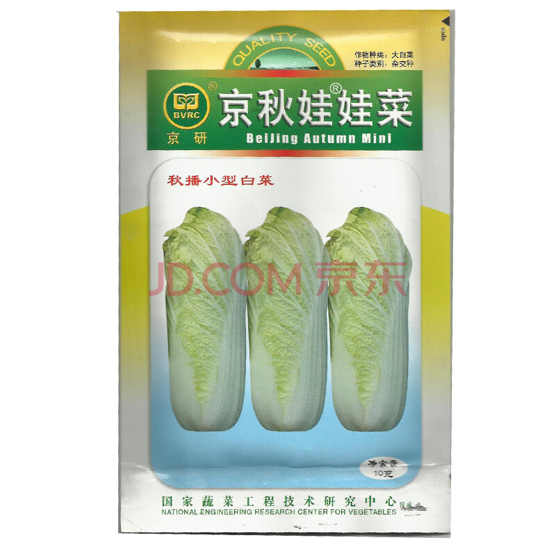 大白菜小白菜家庭精品蔬菜蔬菜种子教程阳台种植娃娃种子种植蔬菜毛衣视频下载园艺织图片