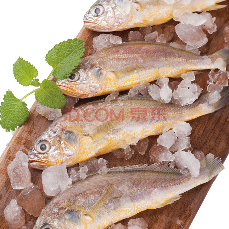 Öèµ½ ¶«º£Ò°Éú΢¶³Ð¡»ÆÓã È«ÐÂÒºµª¼¼Êõ 400g 8-10Ìõ