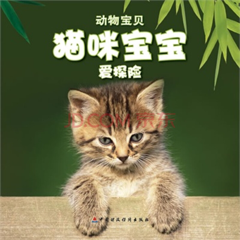 猫咪宝宝爱探险 (印)泰特尔鲍姆,《动物宝贝》翻译组