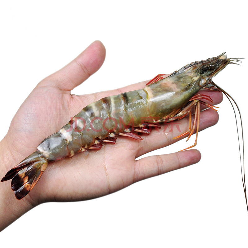 Á¿µÀ Ô½ÄÏÀä¶³ºÚ»¢Ïº¾»Ïºº¬Á¿650g 22-25Ö»/ºÐ »ð¹ø´óϺ º£ÏÊË®²ú