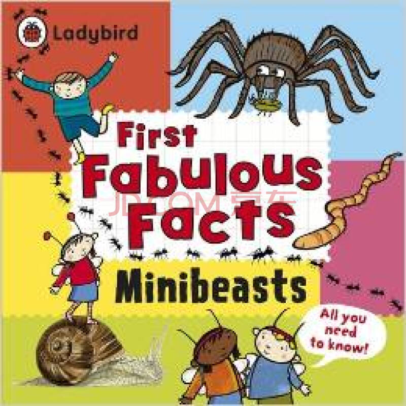 minibeasts: ladybird first fabulo