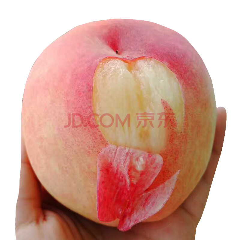 Õý×ÚÎÞÎýÑôɽˮÃÛÌÒʱÁîÐÂÏÊË®¹ûÌÒ×Ó ÎÞÎýÌØ²ú ÐÂÏÊË®¹ûÌÒ×Ó»ÆÌÒÓÍÌÒëÌÒ½õÐå 12Ö»ÀñºÐ×° µ¥¹û5Á½×óÓÒ