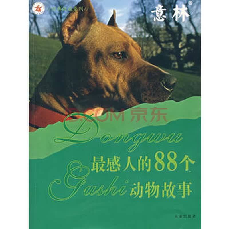 动物之间的感人故事_动物和人之间的感人故事_动物与动物之间的感人故事