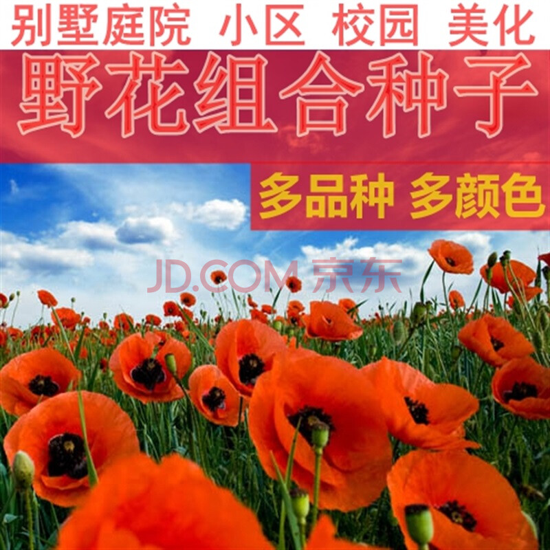 草花售后服务方案怎么写?谢谢