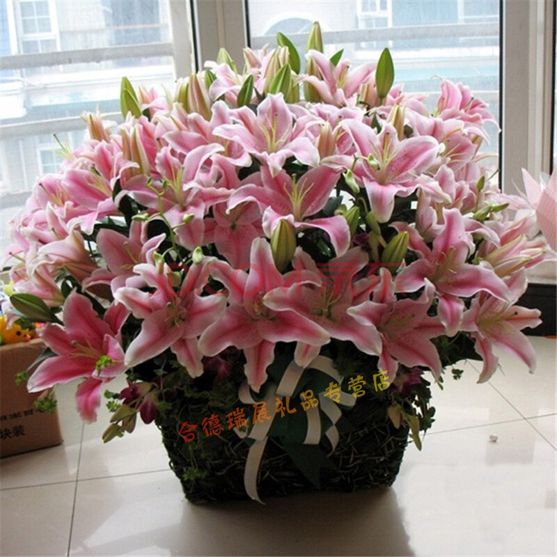 p款99朵粉百合祝福花篮