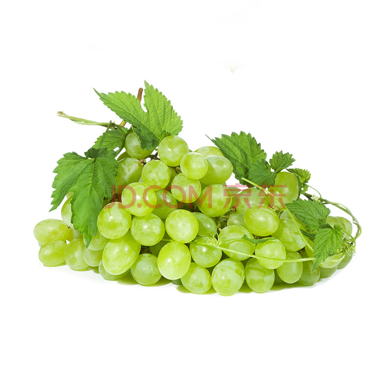 ³£·ã ÇàÌá ÂíÄÌÆÏÌÑ Ð½®Ô²ú °×ÂÌÉ« ÏÊÌðÄÛÌá×ÓÆÏÌÑ ÐÂÏÊË®¹û 1.5kg