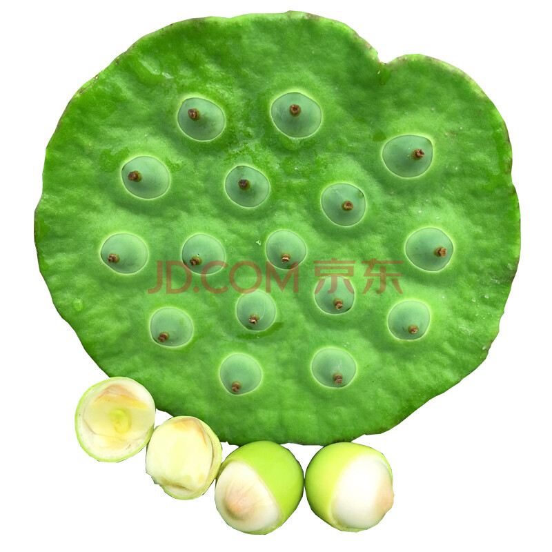ÏÖ»õ£¡Ë³·á¿ÕÔË ºþ±±ºéºþÐÂÏÊÄÛÁ«Åî Á«×ÓÃ× Á«Åî1.5kg Ô¼15-20¸ö