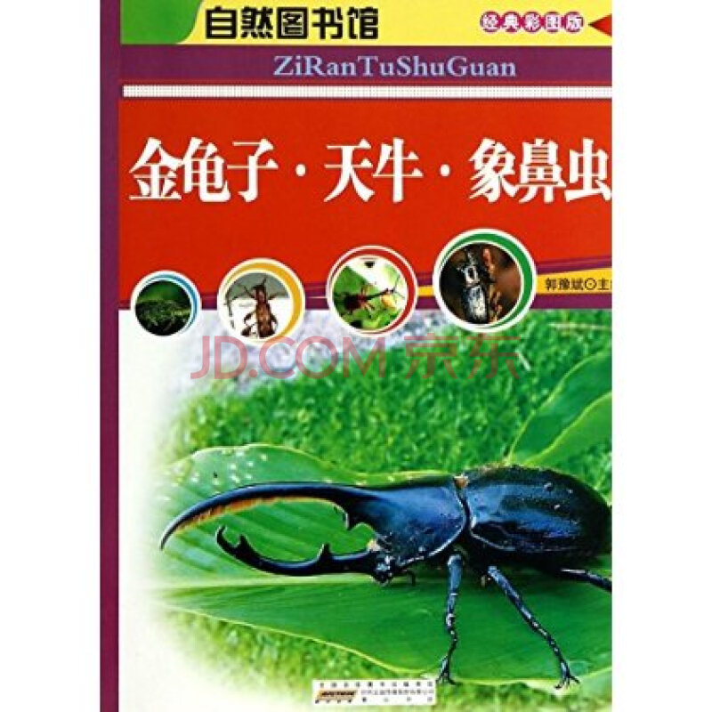 自然图书馆:金龟子·天牛·象鼻虫 (彩色) 9787546107134