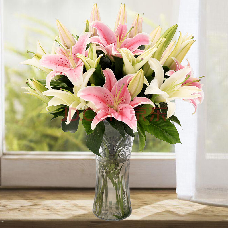 郁金香玫瑰花百合花束瓶插花 鲜花配送全国 19朵混色百合花-不含花瓶