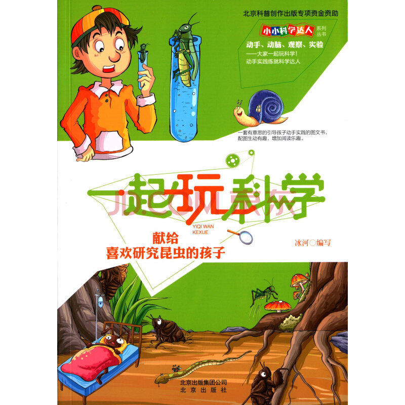 小小科学达人系列丛书:一起玩科学 献给喜欢研究昆虫的孩子