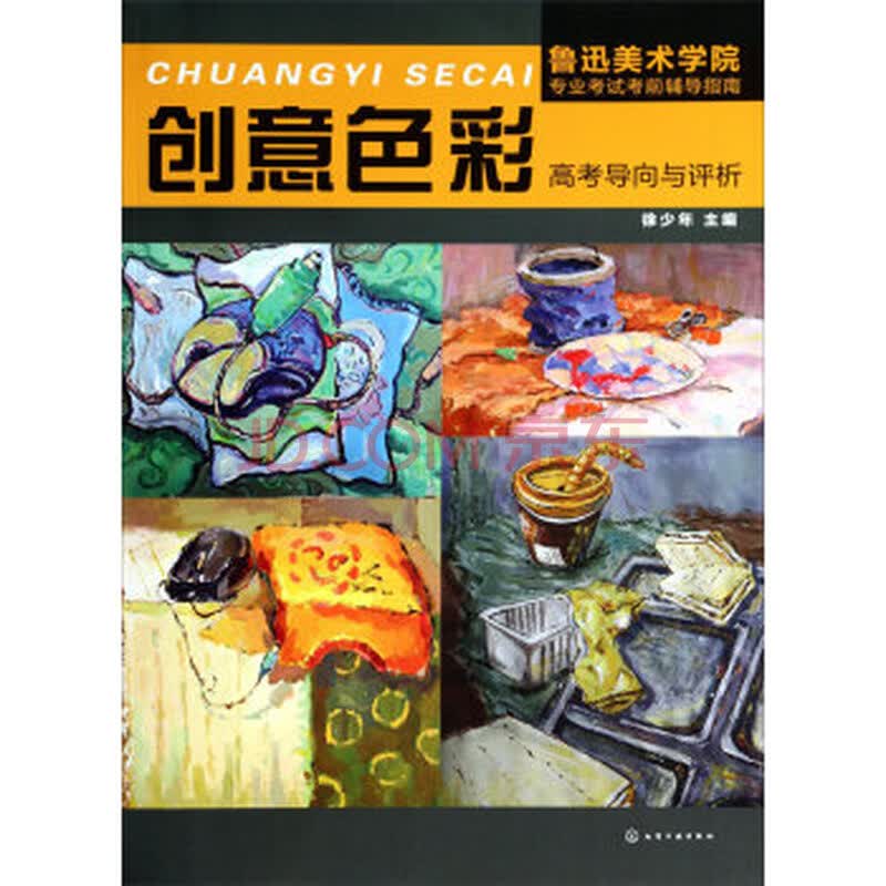 鲁迅美术学院专业考试考前辅导指南:创意色彩高考导向与评析