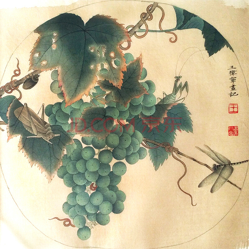 王伟宁《葡萄草虫图》