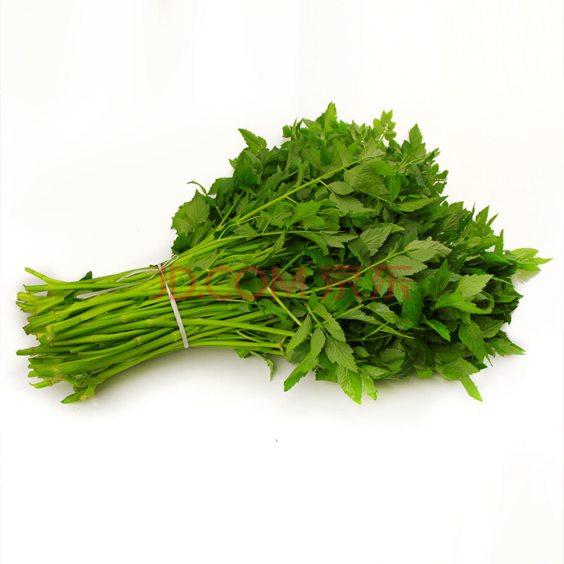 【加冰顺丰空运】湖北野生新鲜水芹菜 新鲜野芹菜 新鲜蔬菜野菜 4斤装