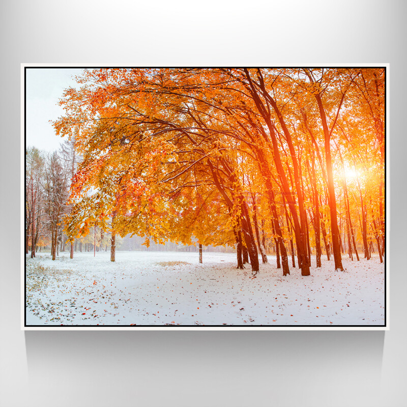 视觉星装饰画雪景摄影系列卧室餐厅客厅挂画 白色细框