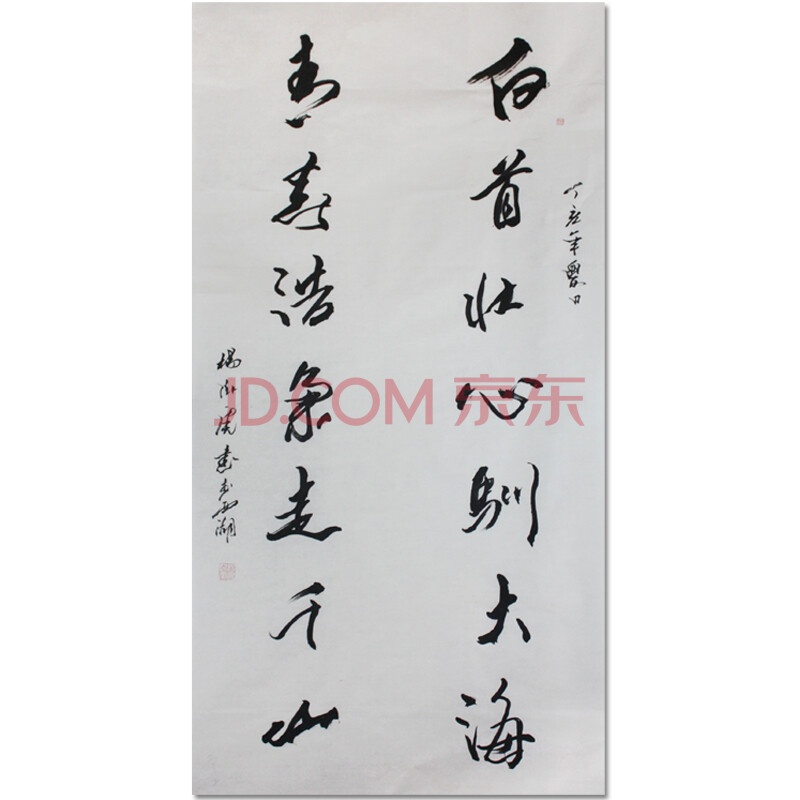 著名书法家,教授 杨卧虎《白首壮心驯大海》