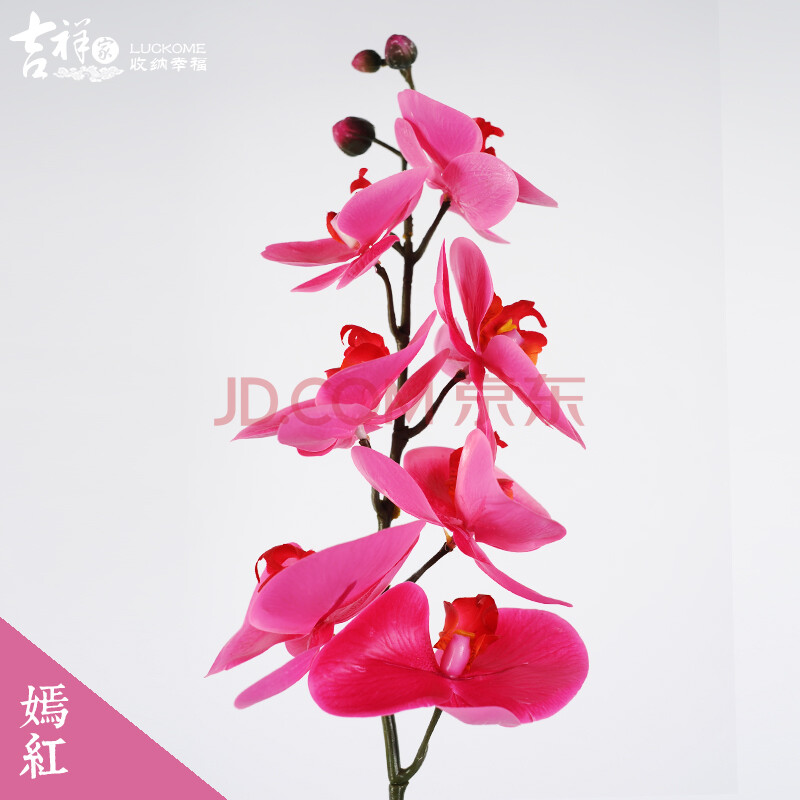 吉祥家 高档手感仿真花卉 装饰假花蝴蝶兰 客厅插花硅胶花艺摆设 家居