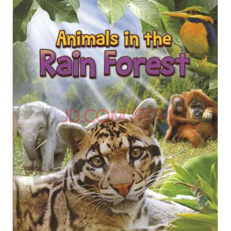 animals in the rain forest