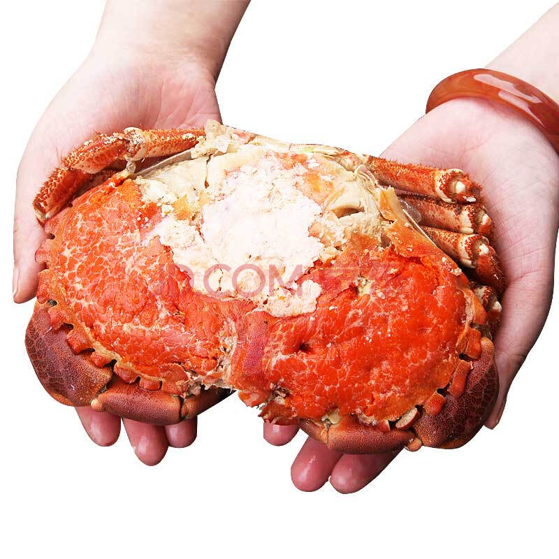 ÁìÏÊδÀ´ Ó¢¹ú½ø¿ÚÃæ°üз 1600-1200g¹²2Ö» ´ü×° ó¦Ð·Ä¸Ð·