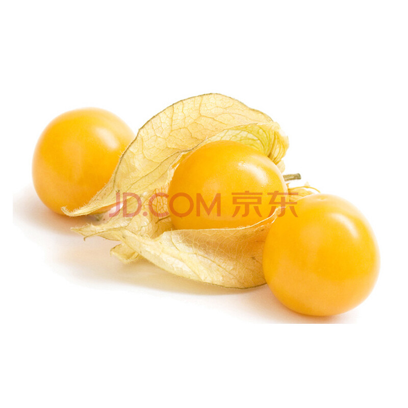 ÏÖ»õ£¡¶«±±ÌزúÐÂÏÊÑó¹½Äï¹û »Æ¹ÃÄï¹ûµÆÁý¹û¹½Á¹¹û 2.5kg ·¢ÆÕͨ¿ìµÝ
