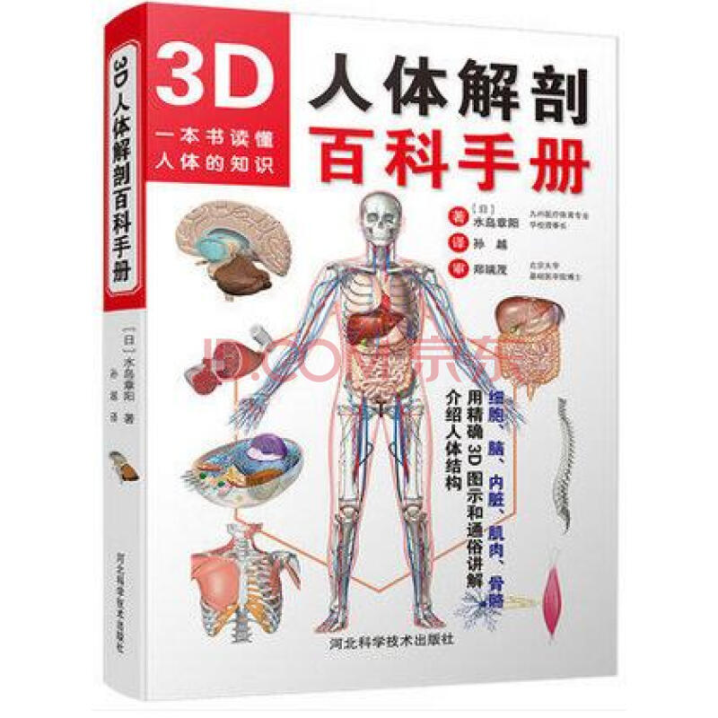3d人体解剖百科手册 人体解剖学彩色学图谱 人体解剖学入门书籍 西医