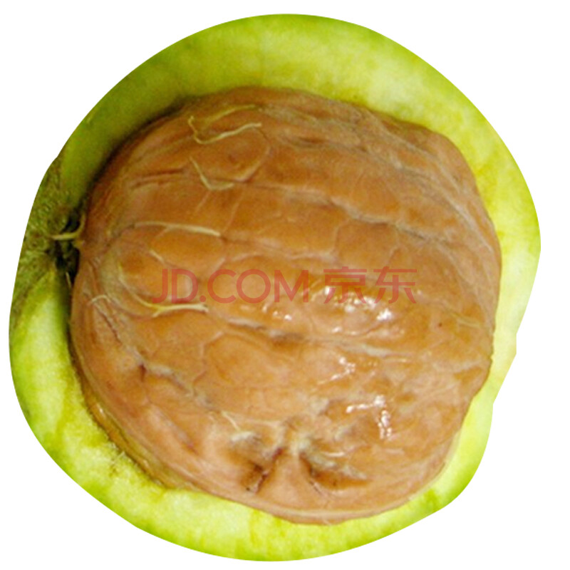 ÏÖ»õ£¡ÏÖ»õ£¡ ÉÂÎ÷ÐÂÏÊʪºËÌÒ ÇàÆ¤ºËÌÒ È¥ÇàÆ¤ºËÌÒ1.5kg ËͼÐ×Ó