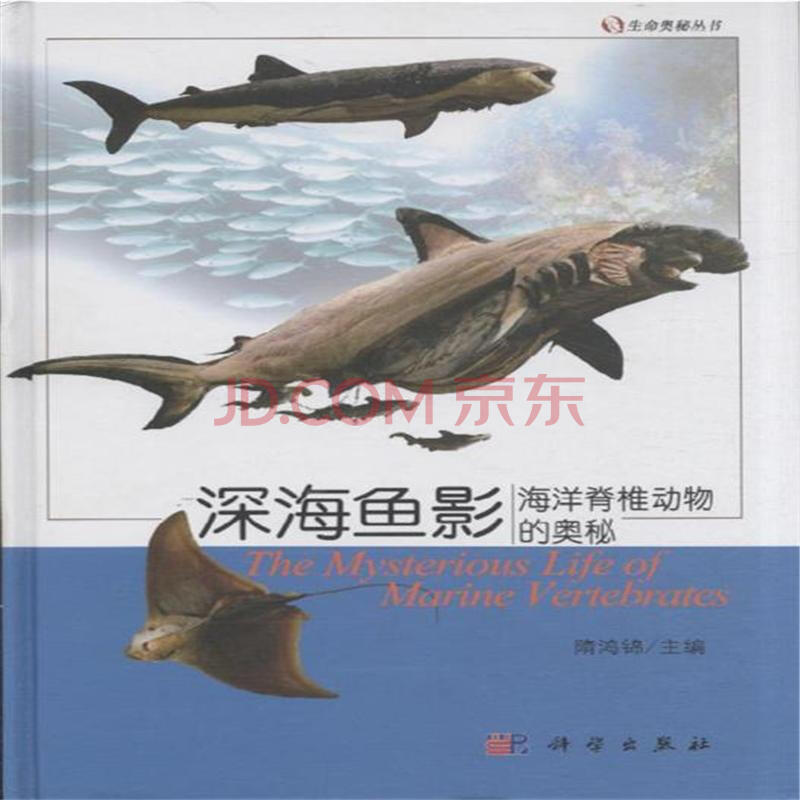 深海鱼影-海洋脊椎动物的奥秘