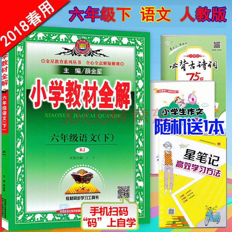 包邮2018春 薛金星小学教材全解6六年级下册语文人教版六年级语文下册