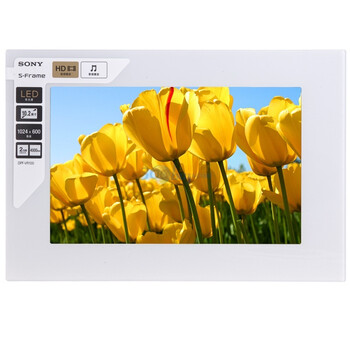 SONY 索尼 DPF-VR100  数码相框 （2G 白色）