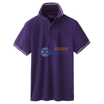 Giordano佐丹奴 Polo 男速干撞色边珠地修身DRY POLO 01010006 紫色 L