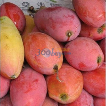海南红金龙芒果 净重约3.1kg