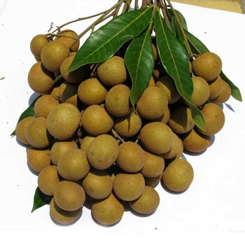 泰国龙眼 净重约3kg 进口新鲜水果