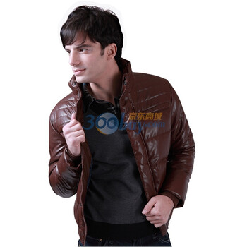 笛凡 DF 2011冬装新品 男士韩版修身系列 保暖防风立领羽绒服 褐色 M