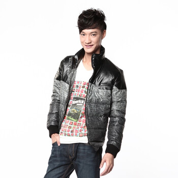 波司登11新款 羽绒服 男印花立领短款 SRD1101 绿色 190/104A(XXL)
