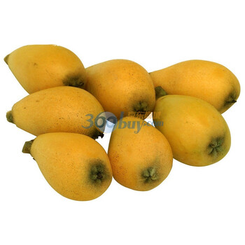 福建云霄枇杷（净重约2kg）个大 甜