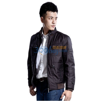 才子/TRIES 2011秋冬新款时尚立领多口袋设计休闲棉衣 紫色 190/104A(XXXXL)