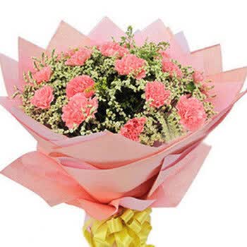 康乃馨19朵 鲜花速递 <em>三八妇女节</em> AL0154 非节
