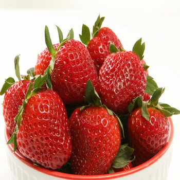 红颜久久草莓\/15