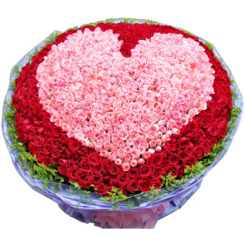 999朵红粉玫瑰 七夕求婚追求用花 送女友送老