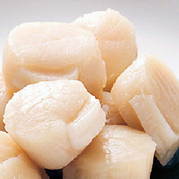 瑶柱 新鲜冷冻贝柱 海鲜贝类 美食食材 500g/袋