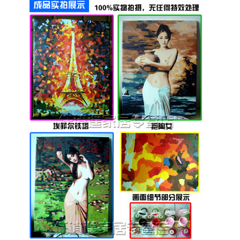 
                                        diy手绘数字油画 40*50  带内框 花卉风景客厅 礼品结婚 装饰画 美丽人生4050cm                