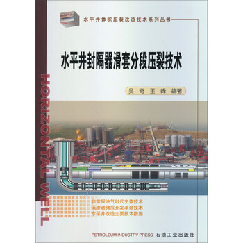 水平井体积压裂改造技术系列丛书:水平井封隔