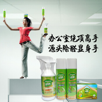 
                                                            绿驰Greensky 新办公室急入伙 迅速除甲醛除味{ 50㎡基数套餐 除醛无忧}                