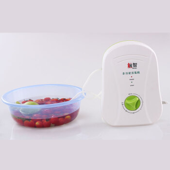 
                                        洁游锐智 家用洗菜机全自动果蔬清洗机蔬菜水果臭氧商用多功能活氧机                
