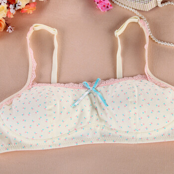 迪麦妮新款纯棉可爱少女学生文胸内衣发育期儿