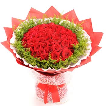 朵美鲜花快递 33朵玫瑰花 <em>生日礼物</em>送<em>女生</em>蓝色