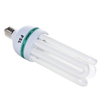 
                                        
                                        佛山照明 （FSL）T5节能灯4U-45W-E27日光色 2支装                