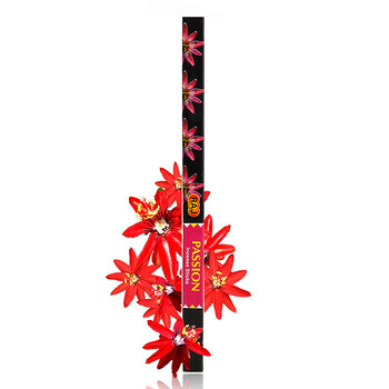 RAJ印度薰香 进口纯手工香熏香料 线香棍香 激情 18g*10小盒 增加信心 059x