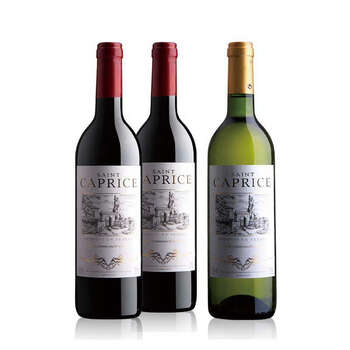  欧盟餐酒 红酒 原瓶进口葡萄酒 圣卡佩斯尽享组